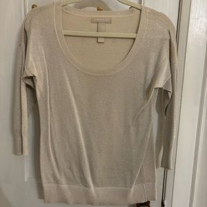 Shimmering Banana Republic Top